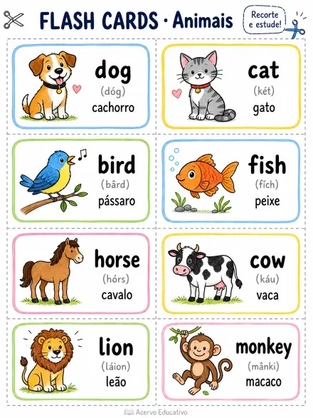 Bônus: Flashcards